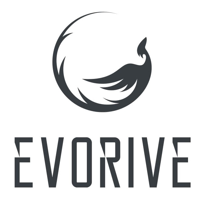 Logo evorive srl